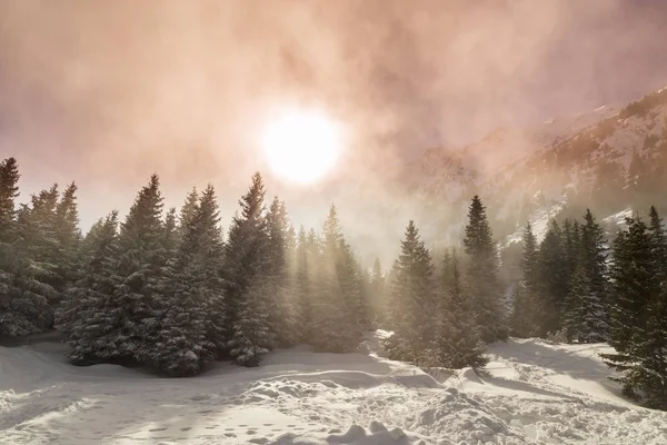 Paisagem Inverno Nas Montanhas Com Neve Fresca Floresta Abeto Dia — Fotografia de Stock