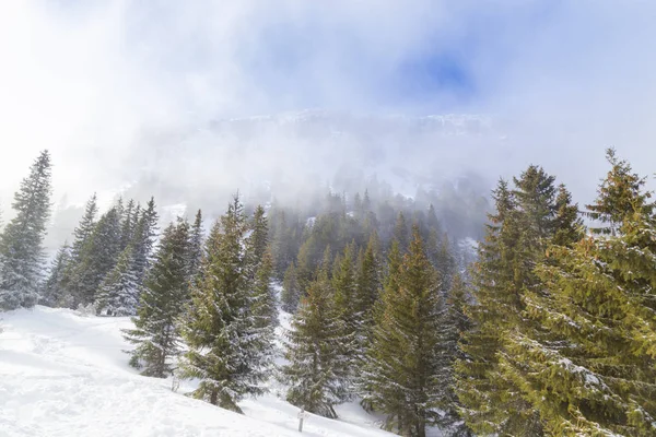 Paisajes Invierno Las Montañas Con Nieve Fresca Bosque Abetos Día — Foto de Stock