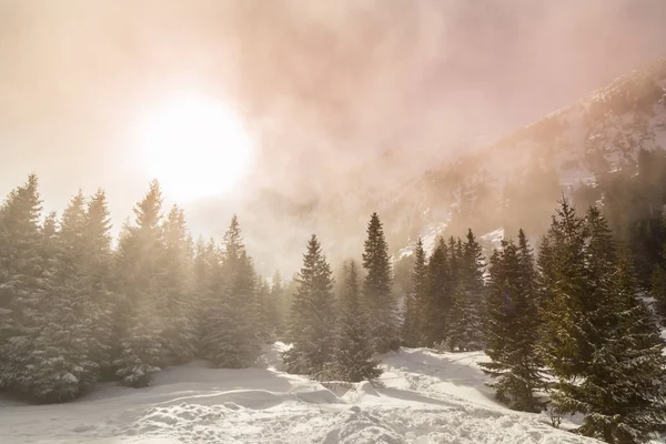 Paisajes Invierno Las Montañas Con Nieve Fresca Bosque Abetos Día Fotos De Stock