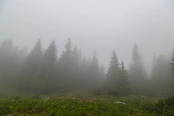 Vackra Bergslandskap Bergen Med Regnmoln Dimma Och Fir Tree Forest — Stockfoto