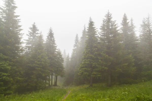 Beau Paysage Montagne Dans Les Montagnes Avec Nuages Pluie Brouillard — Photo