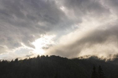 Sis bulutlu sonbahar dağ manzarası