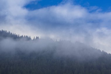 Sis bulutlu sonbahar dağ manzarası