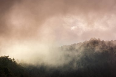 Sis bulutlu sonbahar dağ manzarası