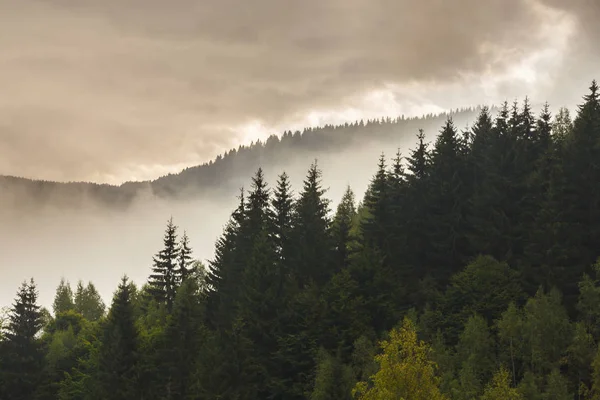 Sis Bulutlu Sonbahar Dağ Manzarası — Stok fotoğraf