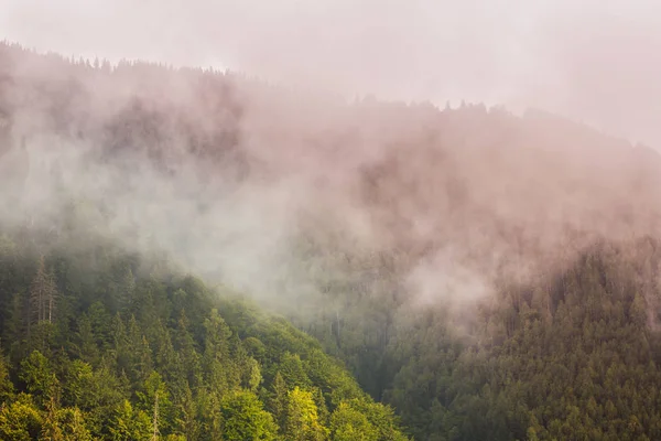 Sis Bulutlu Sonbahar Dağ Manzarası — Stok fotoğraf