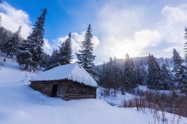 Taze kar ve köknar ağacı orman ile bulutlar güzel kış manzarası