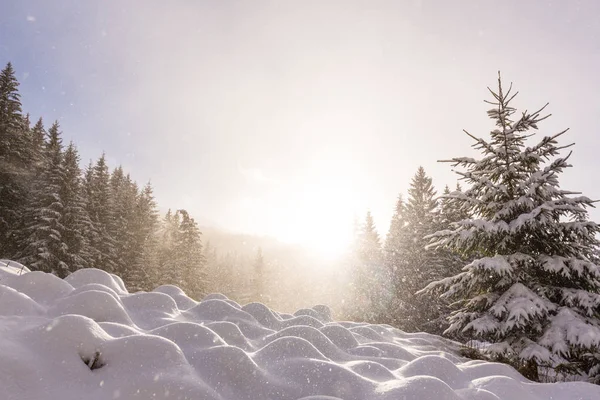 Paisajes Montaña Invierno Con Nieve Fresca Día Brillante Soleado — Foto de Stock