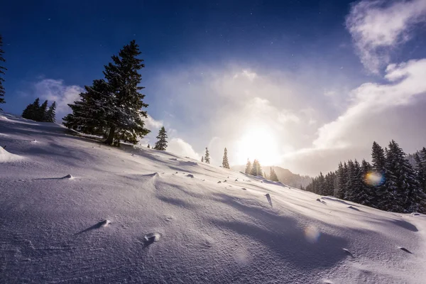 Hermoso Paisaje Invierno Los Moutains Con Nieve Fresca Bosque Abetos — Foto de Stock