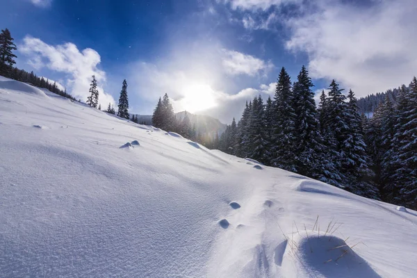 Hermoso Paisaje Invierno Los Moutains Con Nieve Fresca Bosque Abetos — Foto de Stock