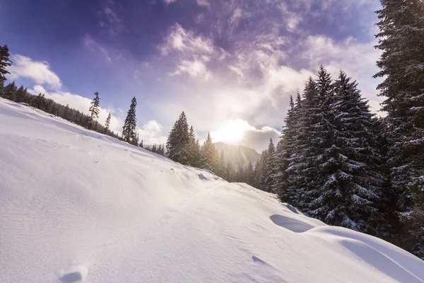 Hermoso Paisaje Invierno Los Moutains Con Nieve Fresca Bosque Abetos — Foto de Stock