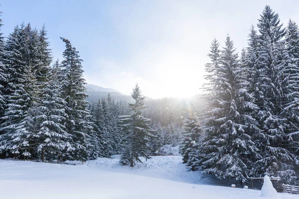 Paisajes Montaña Invierno Con Nieve Fresca Día Brillante Soleado Fotos De Stock Sin Royalties Gratis