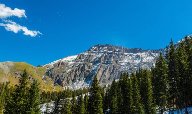 Sonbahar renkleri, titrek kavak orman ve karla kaplı dağ zirveleri Telluride, Colorado