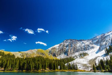 Sonbahar renkleri, titrek kavak orman ve karla kaplı dağ zirveleri Telluride, Colorado