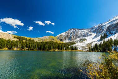 Sonbahar renkleri, titrek kavak orman ve karla kaplı dağ zirveleri Telluride, Colorado