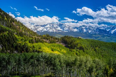 Sonbahar renkleri, titrek kavak orman ve karla kaplı dağ zirveleri Telluride, Colorado