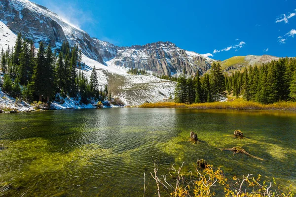 Sonbahar renkleri, titrek kavak orman ve karla kaplı dağ zirveleri Telluride, Colorado