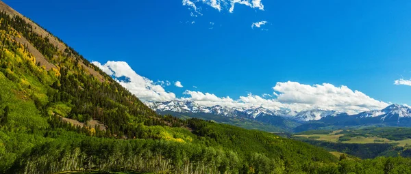 秋天的颜色 白杨森林和积雪覆盖在碲化物 科罗拉多州的山峰 — 图库照片