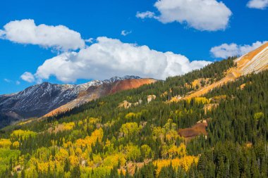 Sonbahar renkleri, titrek kavak orman ve karla kaplı dağ zirveleri Telluride, Colorado