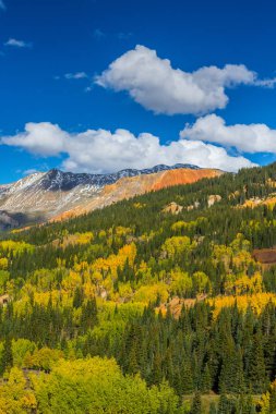 Sonbahar renkleri, titrek kavak orman ve karla kaplı dağ zirveleri Telluride, Colorado