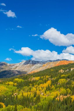 Sonbahar renkleri, titrek kavak orman ve karla kaplı dağ zirveleri Telluride, Colorado