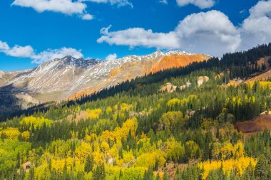 Sonbahar renkleri, titrek kavak orman ve karla kaplı dağ zirveleri Telluride, Colorado