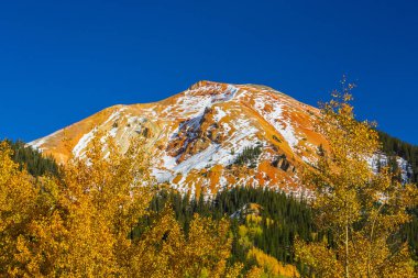 Sonbahar renkleri, titrek kavak orman ve karla kaplı dağ zirveleri Telluride, Colorado