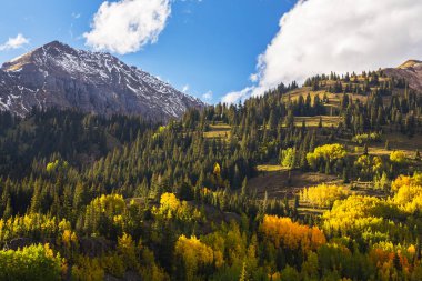 Sonbahar renkleri, titrek kavak orman ve karla kaplı dağ zirveleri Telluride, Colorado