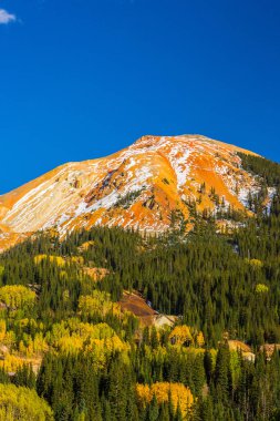 Sonbahar renkleri, titrek kavak orman ve karla kaplı dağ zirveleri Telluride, Colorado