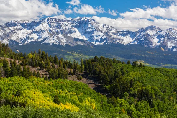 Höstfärger Aspen Skogar Och Snötäckta Bergstoppar Telluride Colorado — Stockfoto
