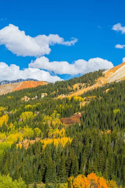 Sonbahar renkleri, titrek kavak orman ve karla kaplı dağ zirveleri Telluride, Colorado