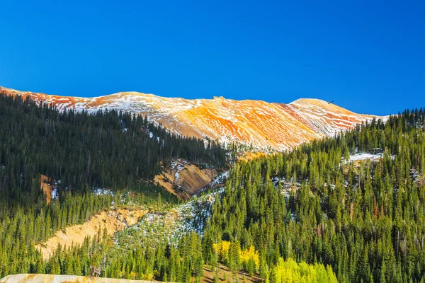 Höstfärger Aspen Skogar Och Snötäckta Bergstoppar Telluride Colorado — Stockfoto