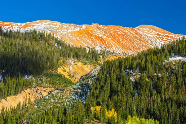 Höstfärger Aspen Skogar Och Snötäckta Bergstoppar Telluride Colorado — Stockfoto