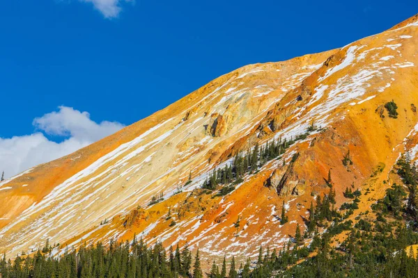 Höstfärger Aspen Skogar Och Snötäckta Bergstoppar Telluride Colorado — Stockfoto