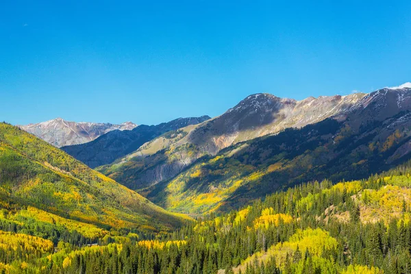 Höstfärger Aspen Skogar Och Snötäckta Bergstoppar Telluride Colorado — Stockfoto