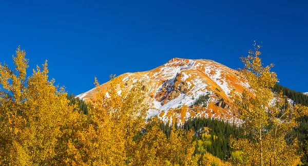 Herbstfarben Espenwälder Und Schneebedeckte Berggipfel Telluride Colorado — Stockfoto