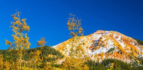 Höstfärger Aspen Skogar Och Snötäckta Bergstoppar Telluride Colorado — Stockfoto