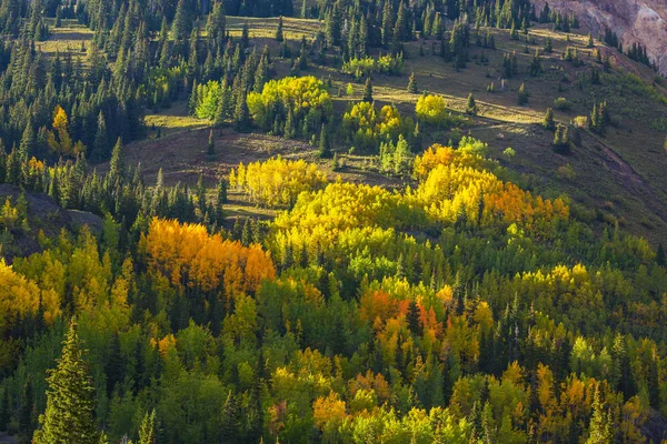 Höstfärger Aspen Skogar Och Snötäckta Bergstoppar Telluride Colorado — Stockfoto