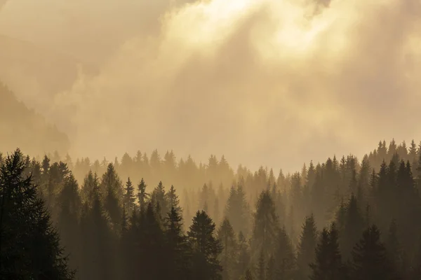 Schöne Herbstliche Berglandschaft Mit Nebelwolken Nebel Und Wilden Wäldern — Stockfoto