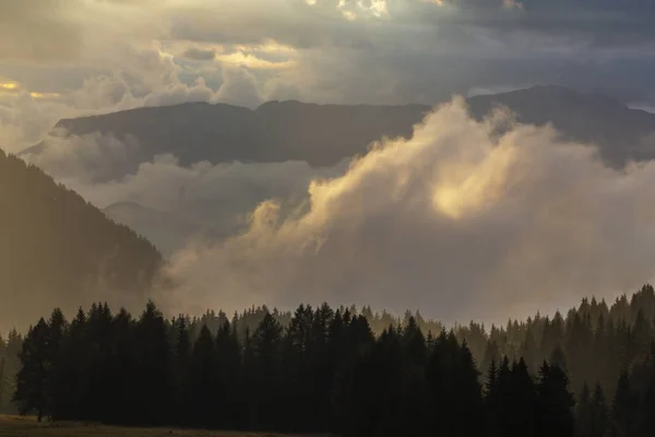 Beau Paysage Montagne Automne Avec Nuages Brumeux Brouillard Forêts Sauvages — Photo