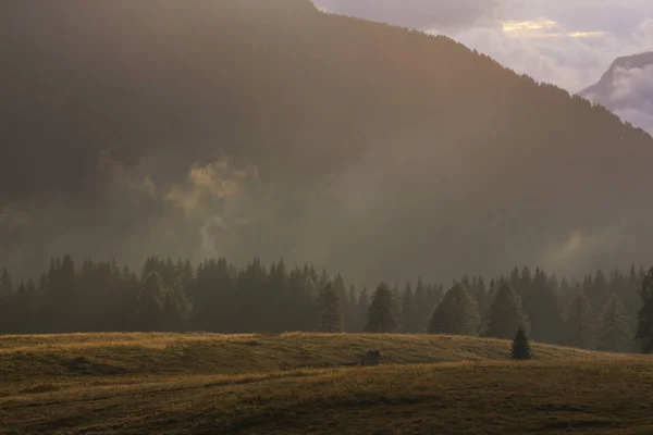 Beau Paysage Montagne Automne Avec Nuages Brumeux Brouillard Forêts Sauvages — Photo