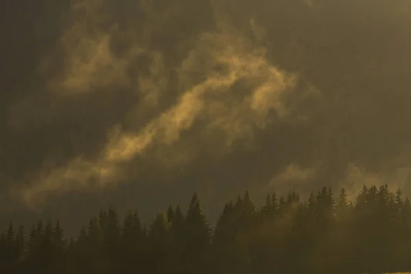 Schöne Herbstliche Berglandschaft Mit Nebelwolken Nebel Und Wilden Wäldern — Stockfoto