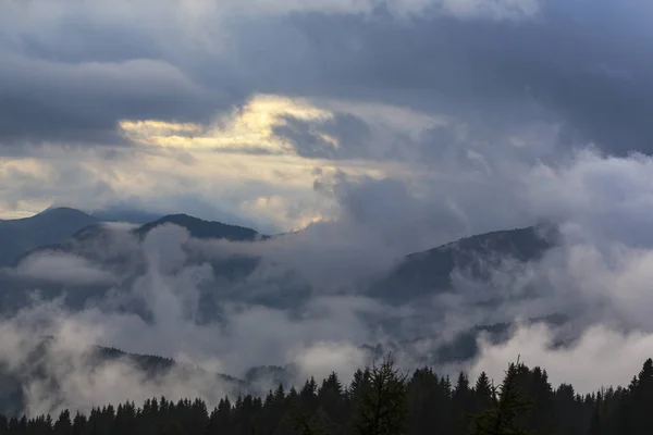 Hermoso Paisaje Montaña Otoño Con Nubes Niebla Niebla Bosques Salvajes — Foto de Stock