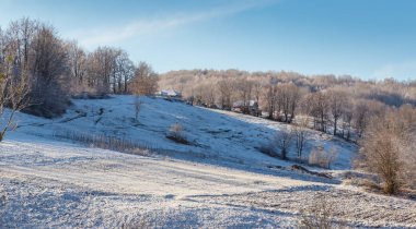 Güzel sonbahar dağ manzarası ile sis bulutları, sis ve vahşi orman