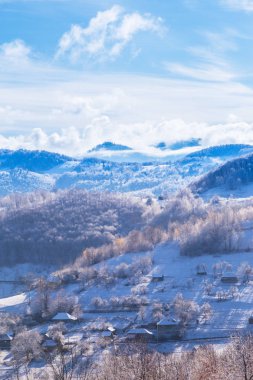 Güzel sonbahar dağ manzarası ile sis bulutları, sis ve vahşi orman