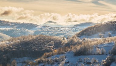 Güzel sonbahar dağ manzarası ile sis bulutları, sis ve vahşi orman