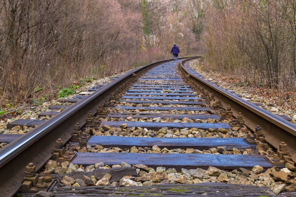 Ancien Chemin Fer Dans Une Région Montagneuse Reculée Europe — Photo