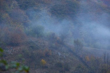 Dağlar, sis bulutları ve sonbahar yaprakları ile uzak kırsal bölgede ürkütücü sahne