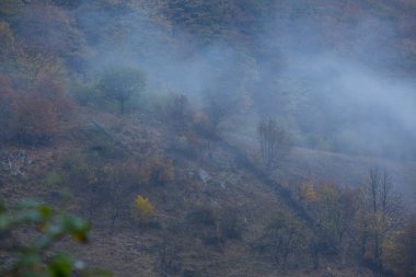 Dağlar, sis bulutları ve sonbahar yaprakları ile uzak kırsal bölgede ürkütücü sahne
