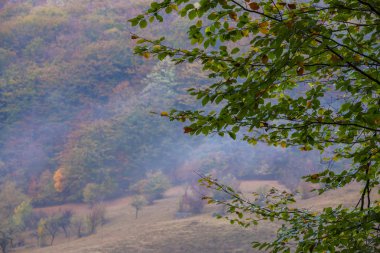 Dağlar, sis bulutları ve sonbahar yaprakları ile uzak kırsal bölgede ürkütücü sahne